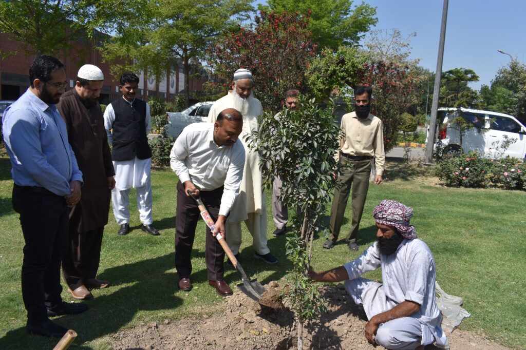 CEO PAMCO Takes a Green Initiative in Line with Punjab CM’s Vision