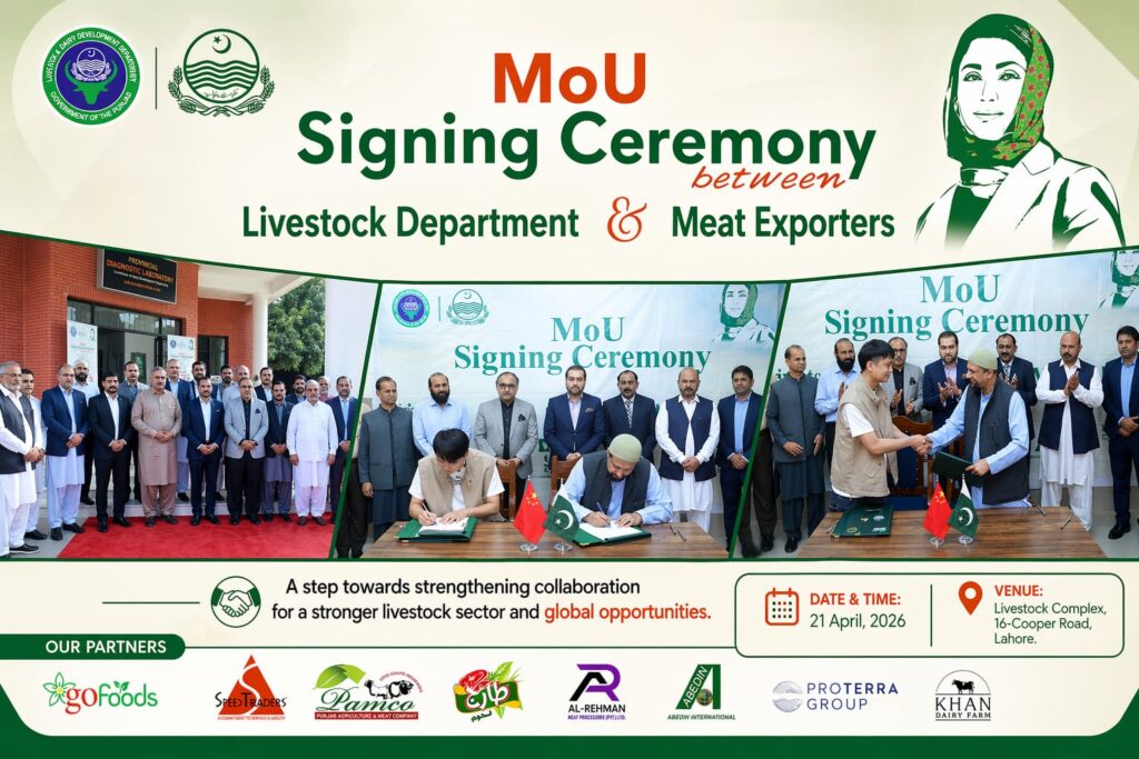 PAMCO–Global Meat Company Collaboration
