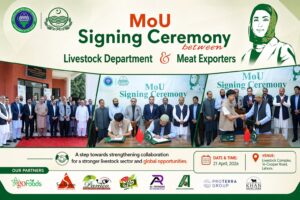 PAMCO–Global Meat Company Collaboration