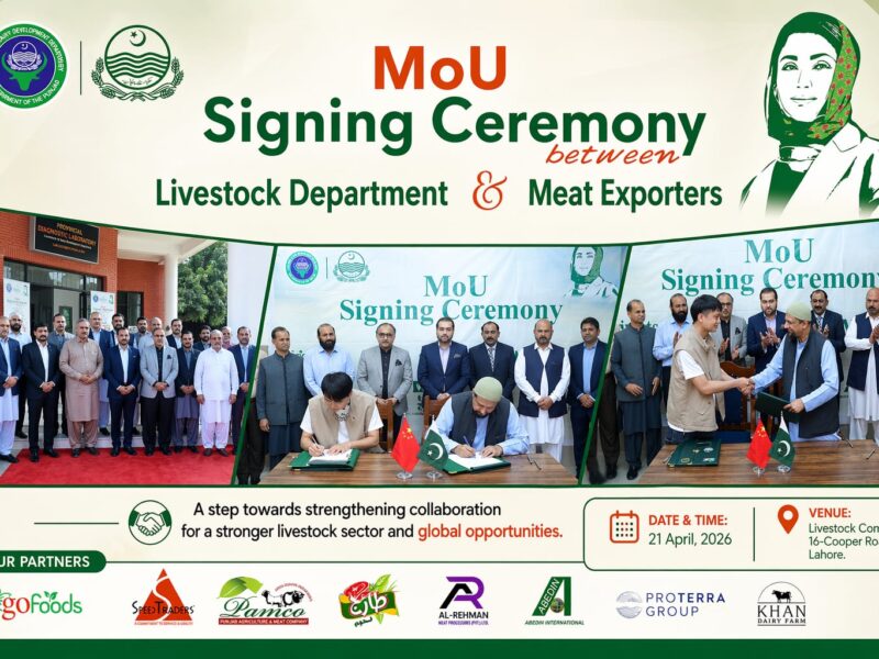 PAMCO–Global Meat Company Collaboration
