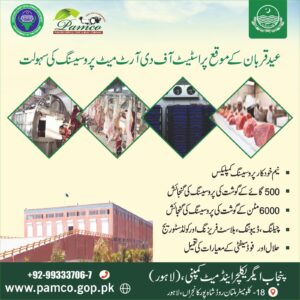 Salient Features of PAMCO
