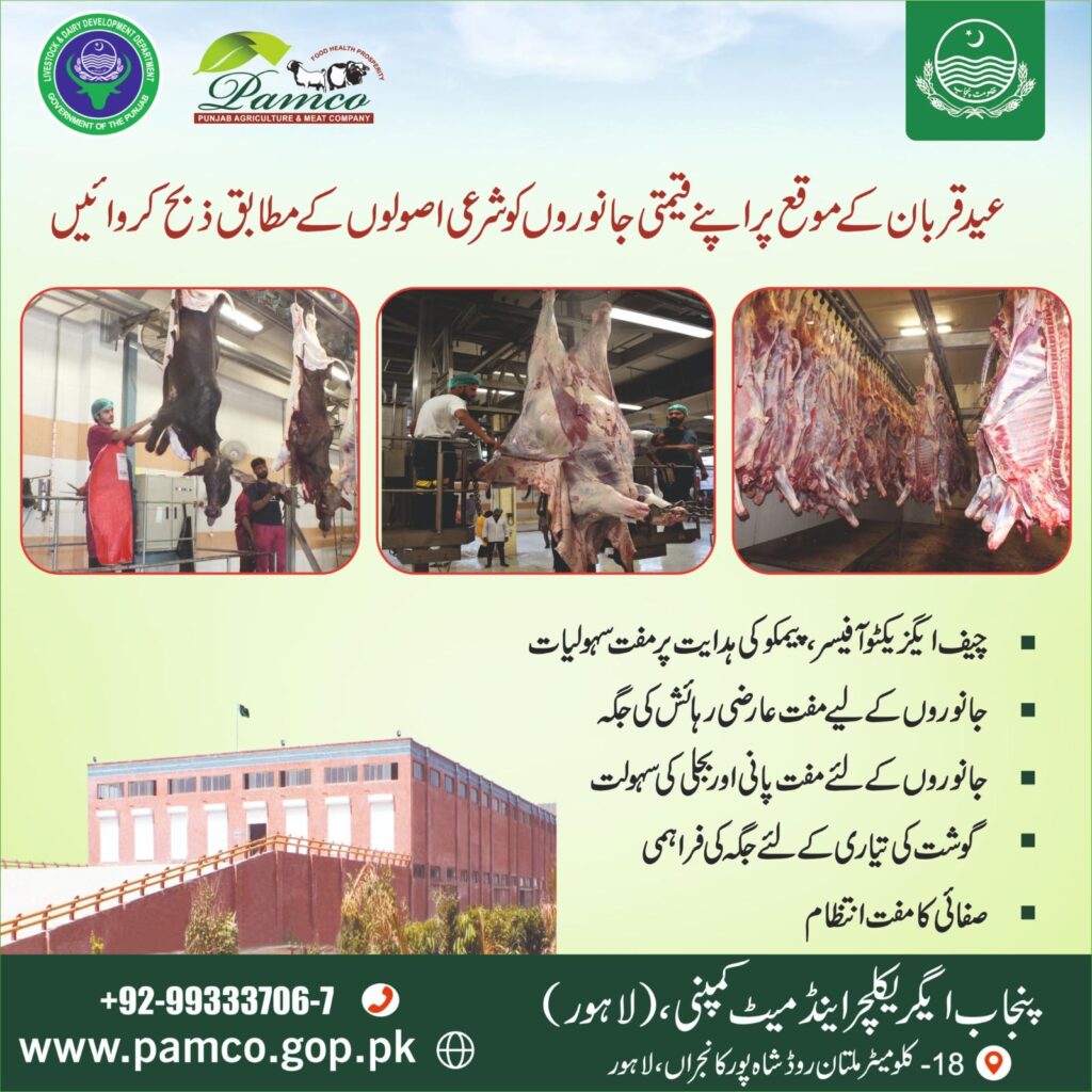 On the directions of the CEO of PAMCO, Muhammad Akbar, free services are being provided on Eid-ul-Azha.