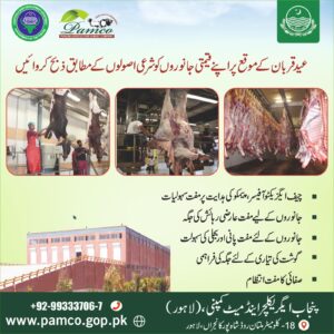 On the directions of the CEO of PAMCO, Muhammad Akbar, free services are being provided on Eid-ul-Azha.