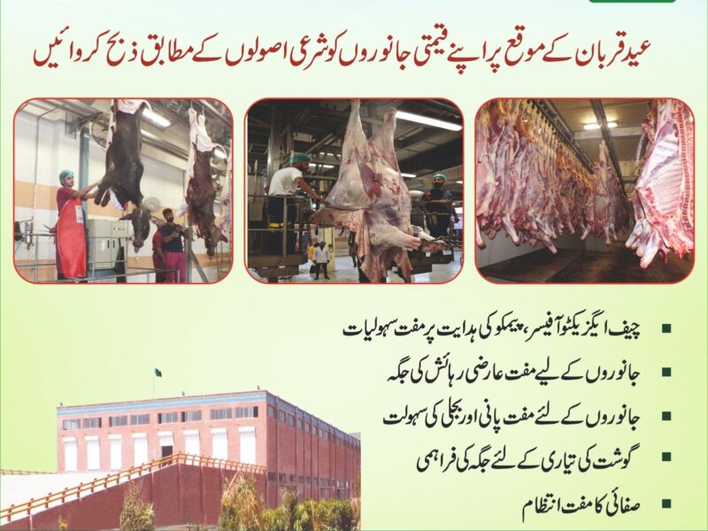 On the directions of the CEO of PAMCO, Muhammad Akbar, free services are being provided on Eid-ul-Azha.